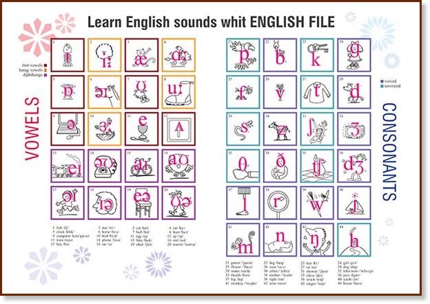 Learn English Sounds with English File - Учебно табло на английски език - табло