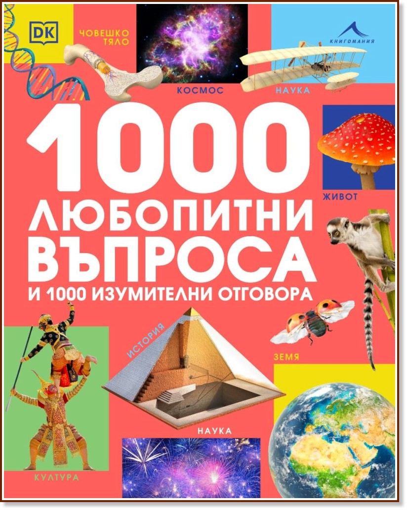 1000    1000   -  