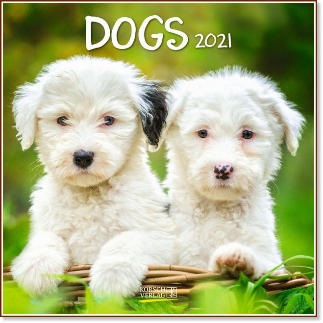   - Dogs 2021 - 