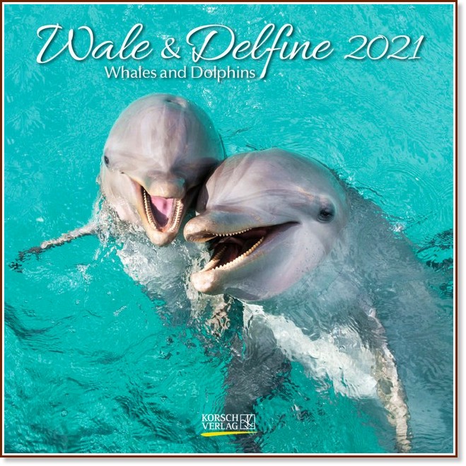  - Wale und Delfine 2021 - 