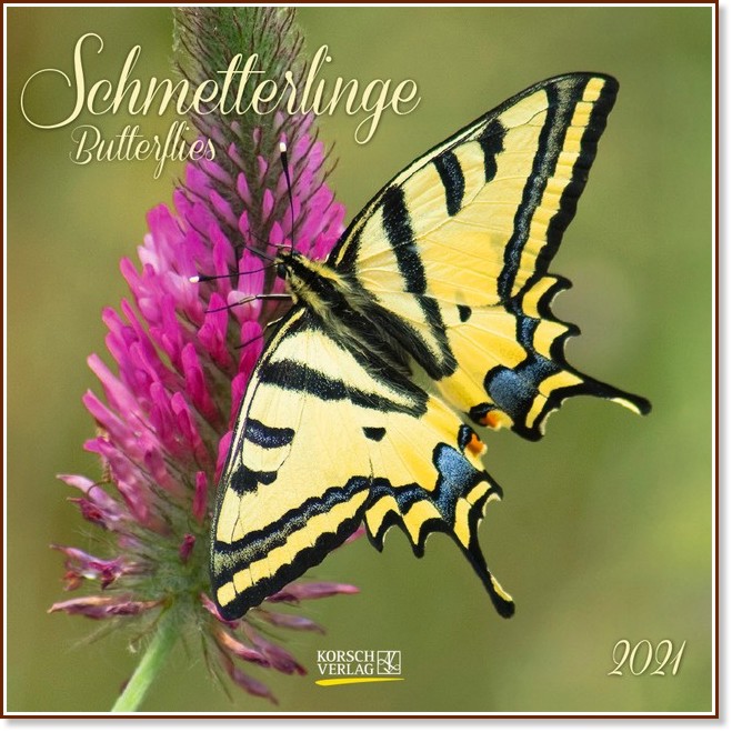   - Schmetterlinge 2021 - 