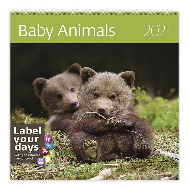   - Baby Animals 2021 - 