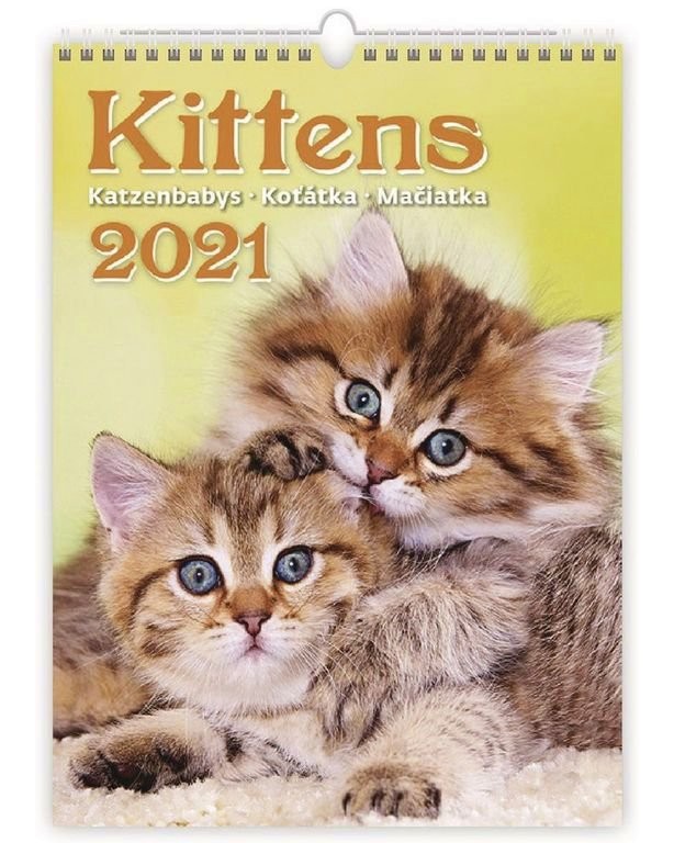  - Kittens 2021 - 