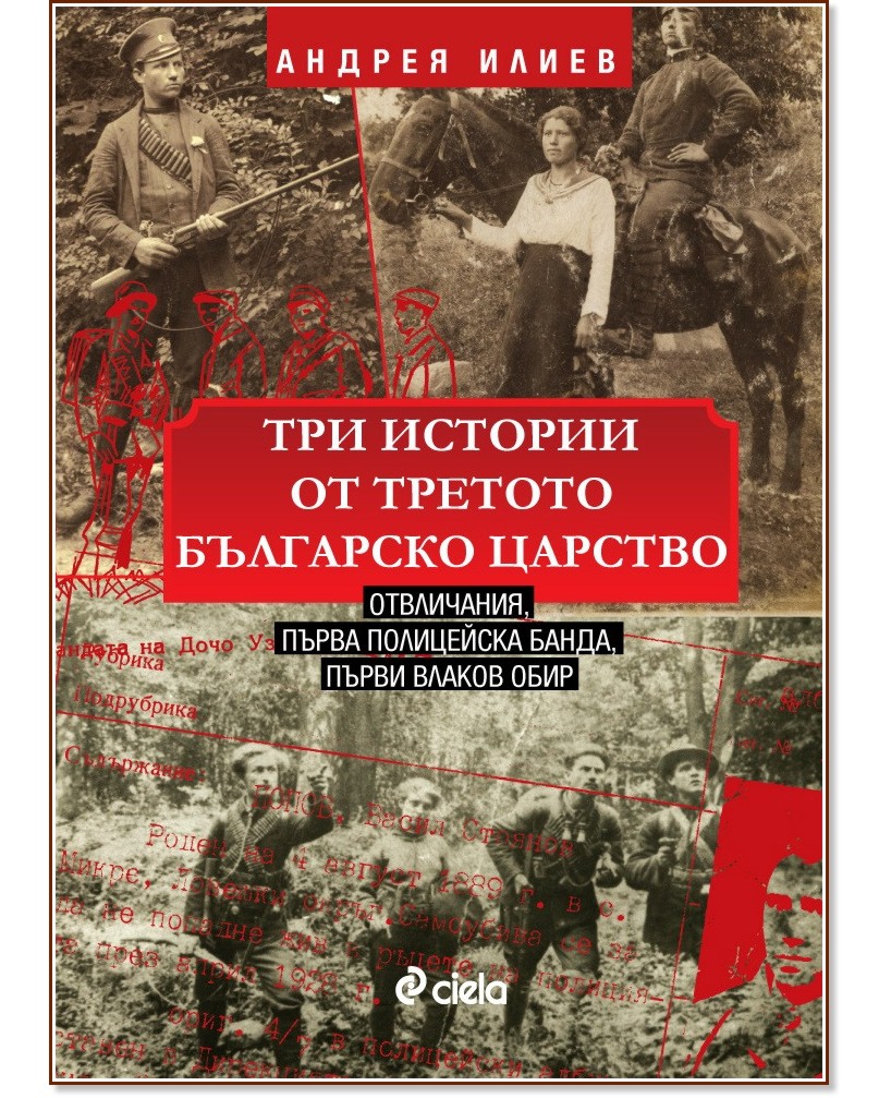 Три истории от Третото българско царство - Андрея Илиев - книга