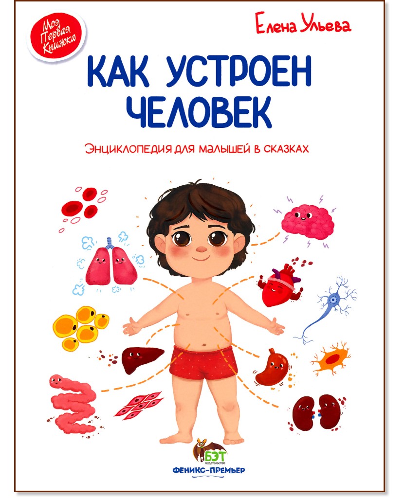 Моя первая книжка: Как устроен человек - Елена Ульева - детска книга
