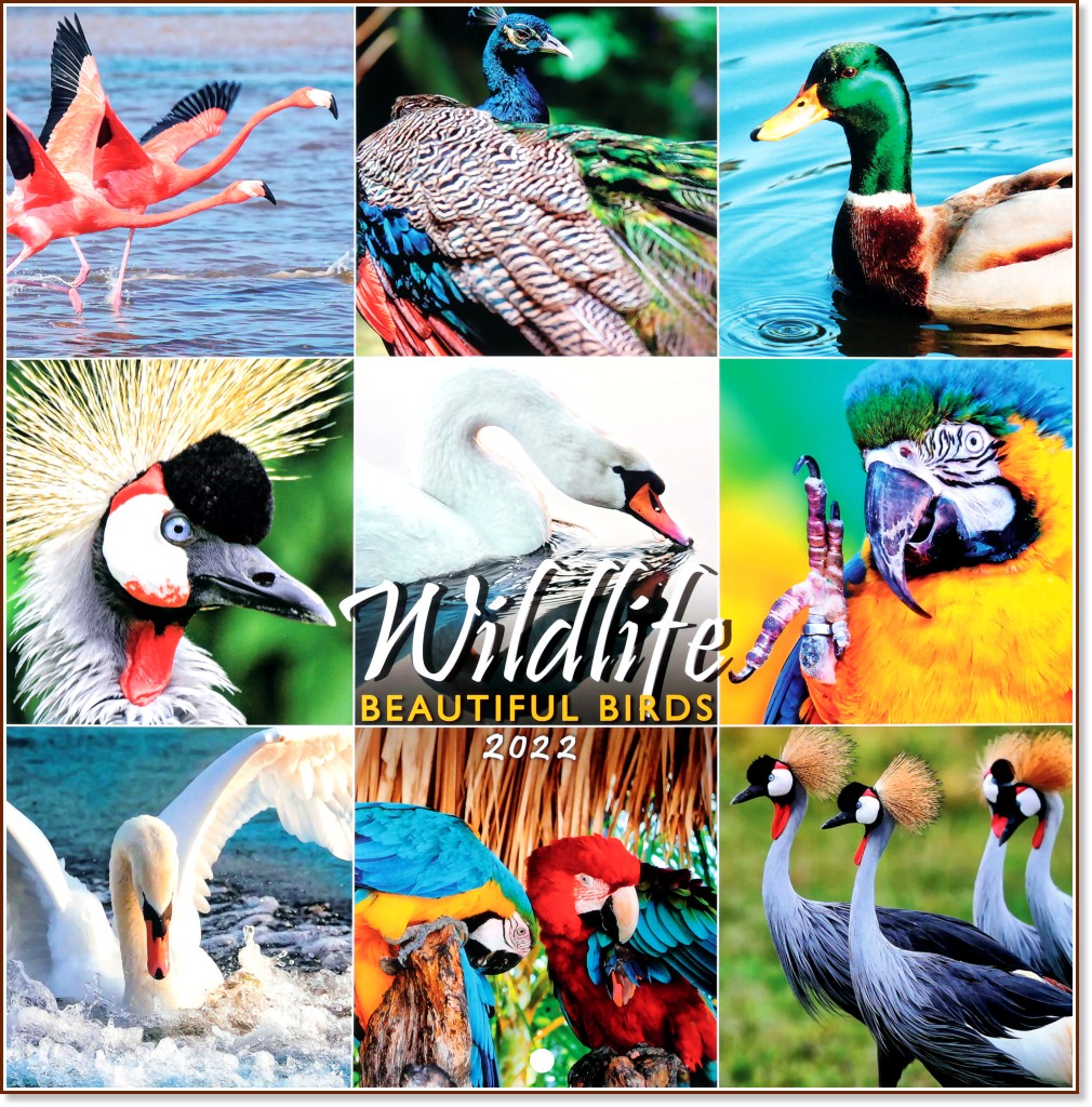   - Wildlife: Beautiful Birds 2022 - 