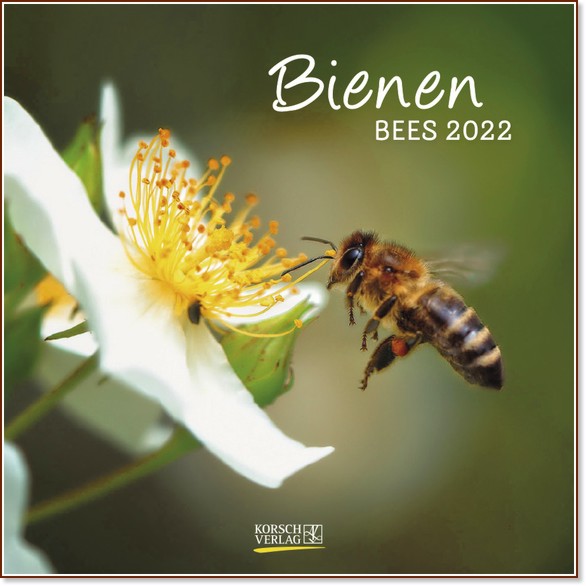   - Bienen 2022 - 