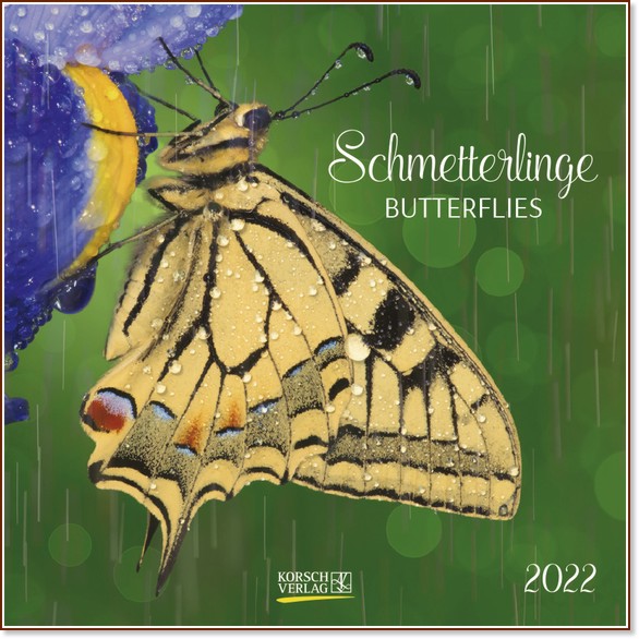   - Schmetterlinge 2022 - 
