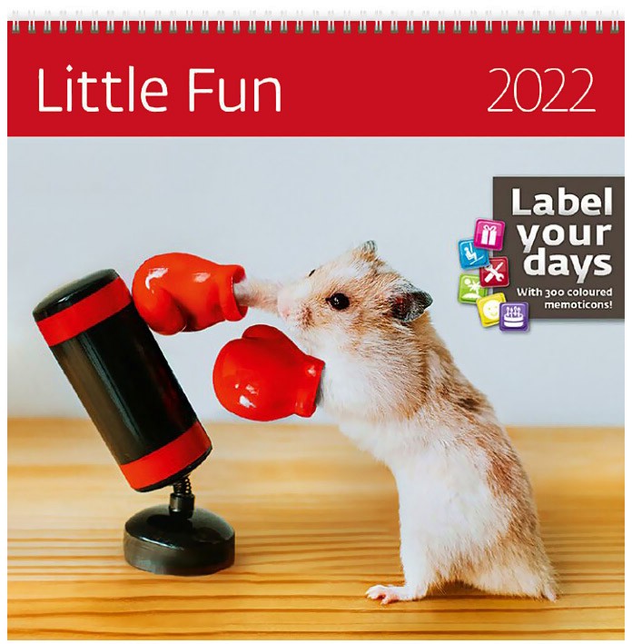   - Little Fun 2022 - 