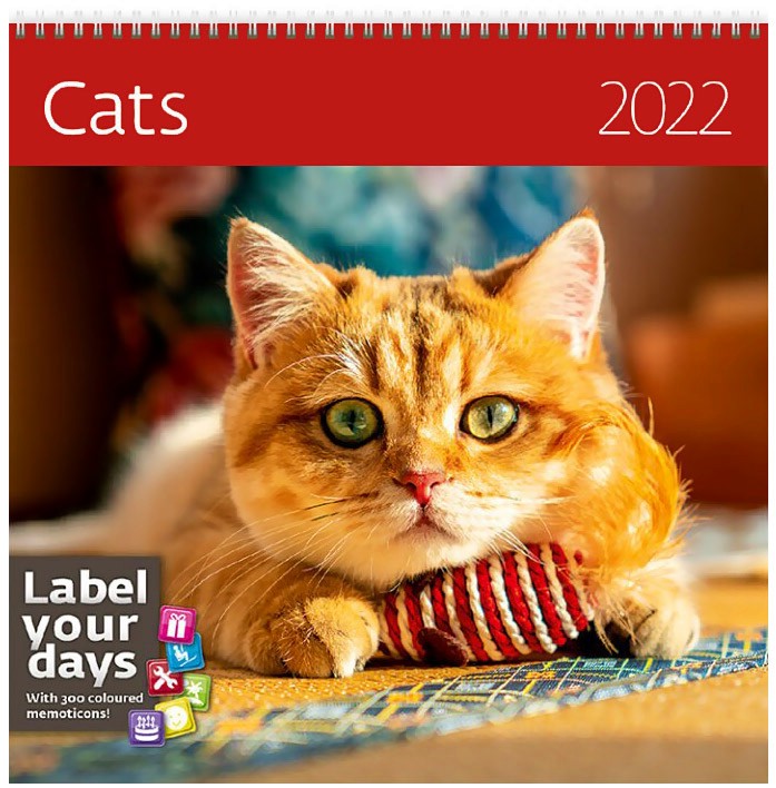   - Cats 2022 - 