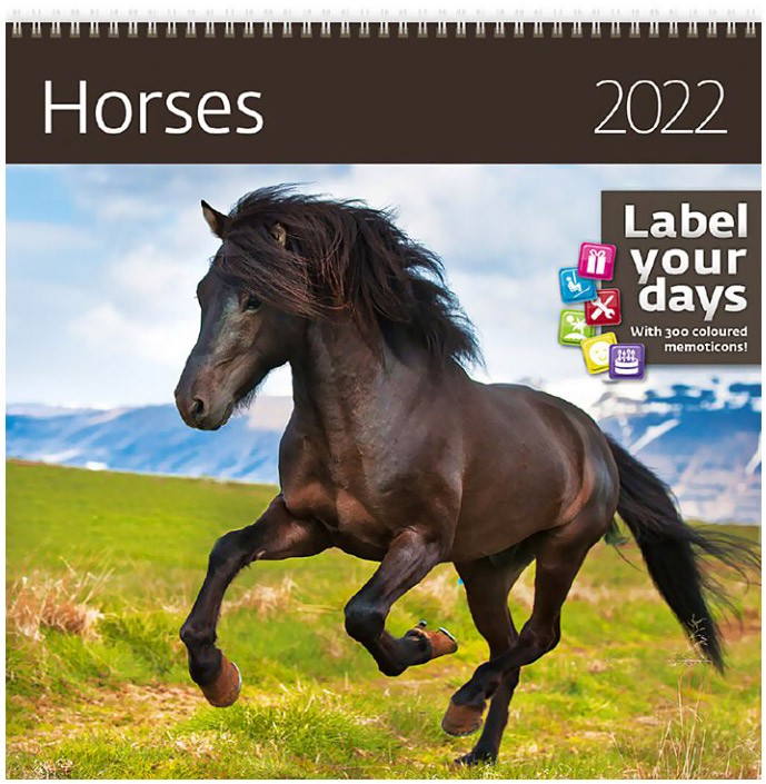   - Horses 2022 - 