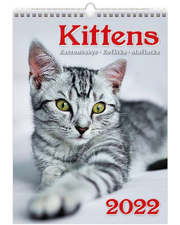   - Kittens 2022 - 