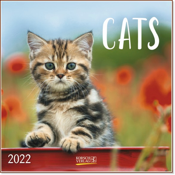   - Cats 2022 - 