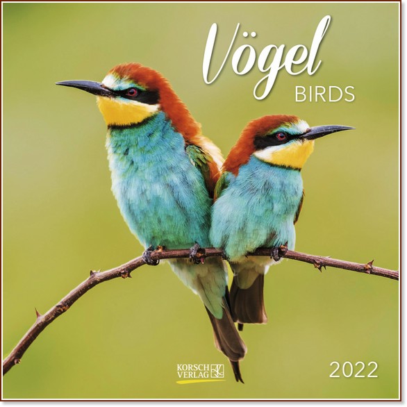   - Vogel 2022 - 