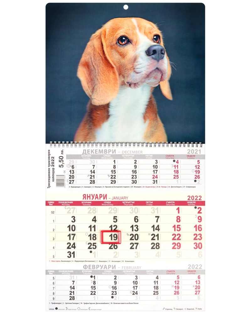 3D Трисекционен работен календар 2022 - Куче 3D Трисекционен работен календар 2022 - Куче - календар
