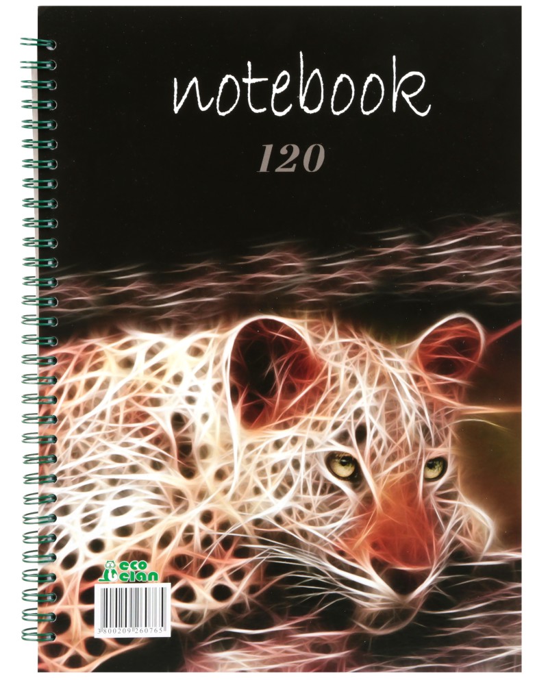 ���������� �������� ��� ������� : ������ A4 � �������� ������� - 120 ����� - ��������