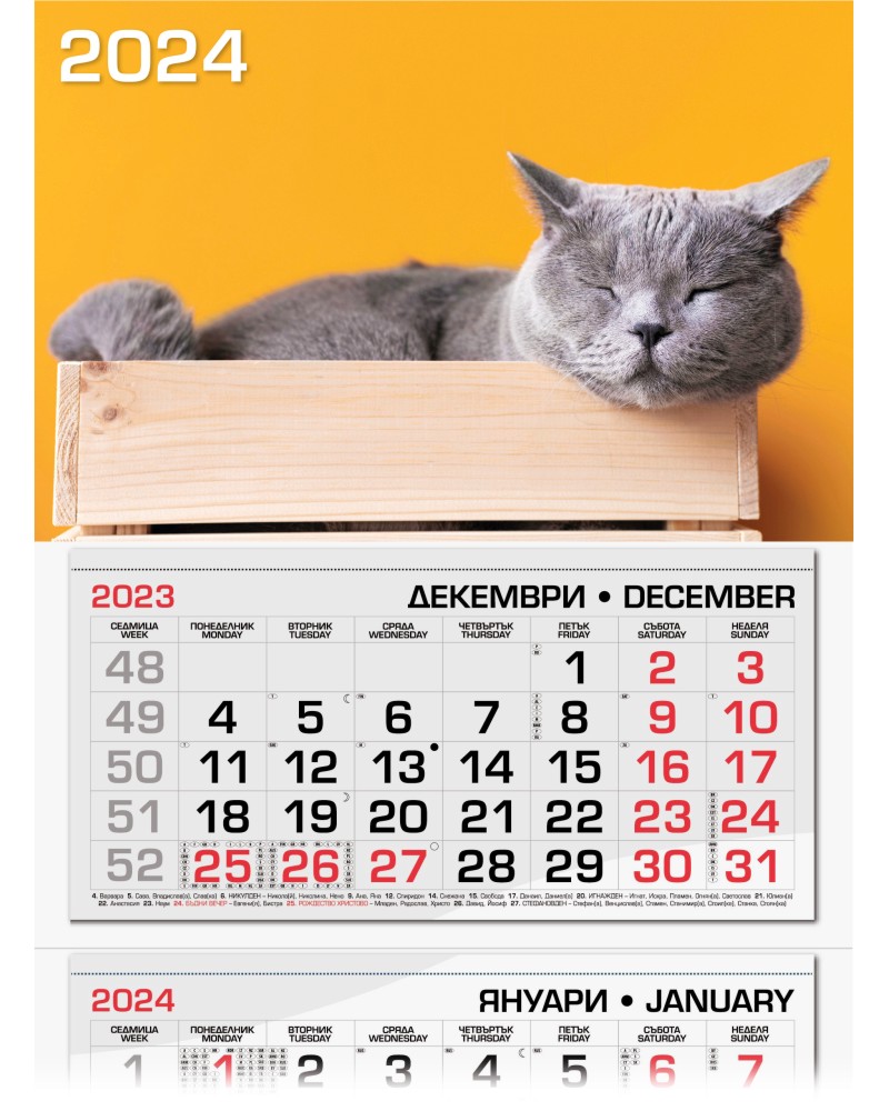 ������������ �������� - ��������� ���� ����� 2024 - ��������