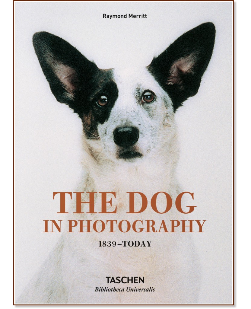 The Dog in Photography 1839 - Today - Raymond Merritt - 