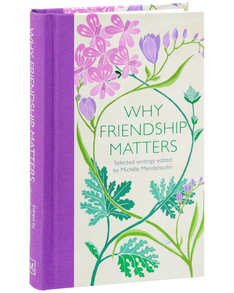 Why Friendship Matters - Michele Mendelssohn - 