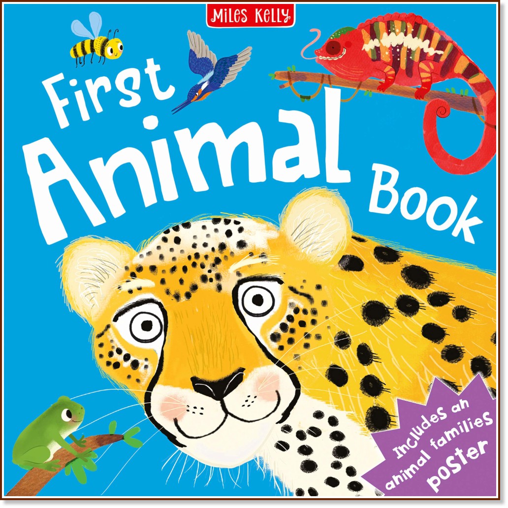 First Animal Book -  