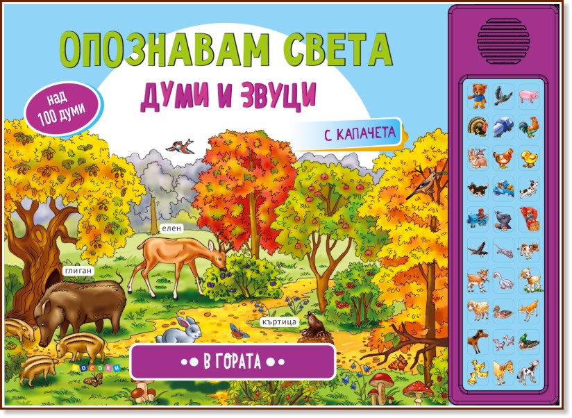 ��������� �����: � ������ - ������ ��� ����� - ������ �����