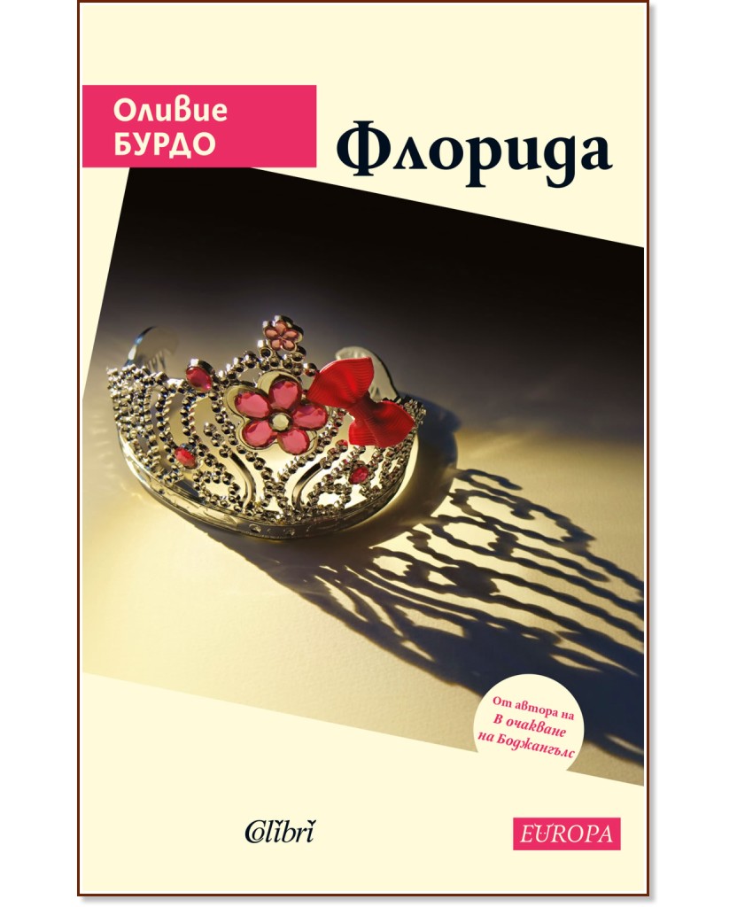 Флорида Флорида - Оливие Бурдо - книга