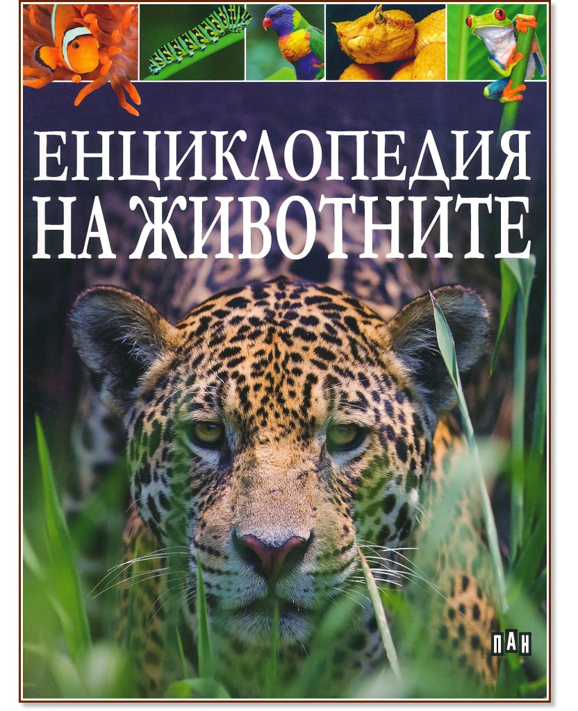 ������������ �� ��������� - ������ �����