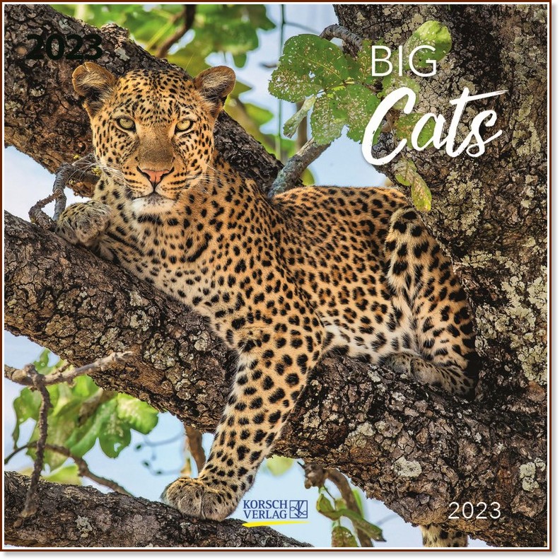 Стенен календар - Big Cats 2023 - календар