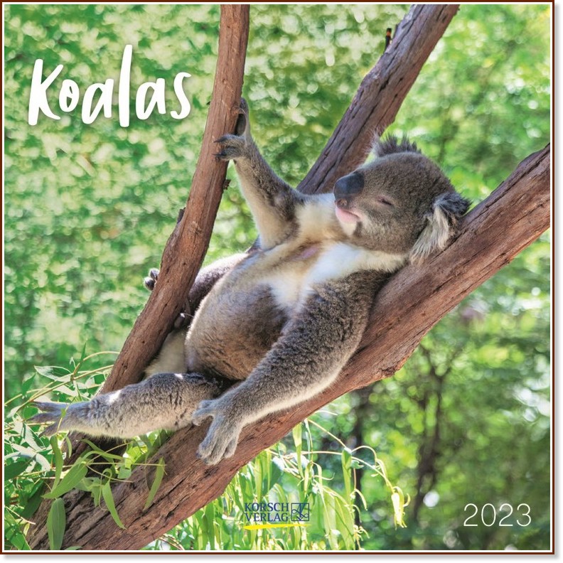   - Koalas 2023 - 