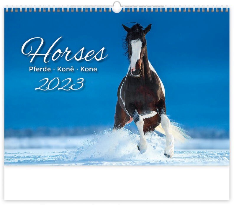   - Horses 2023 - 