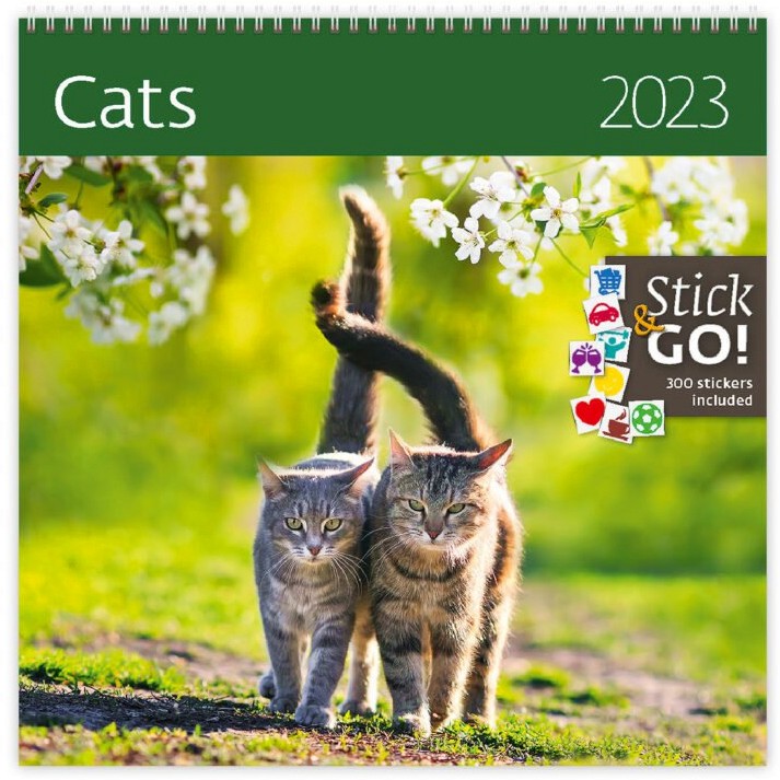   - Cats 2023 - 