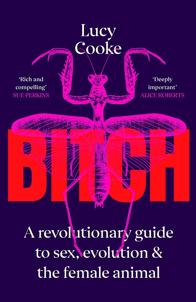 Bitch Bitch - Lucy Cooke - книга