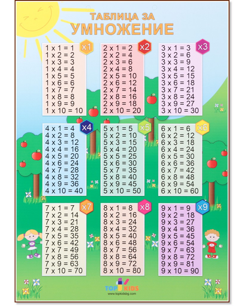   :    - 30 x 42 cm - 