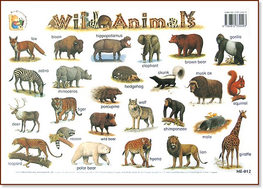      : Wild Animals - 39 x 27 cm - 