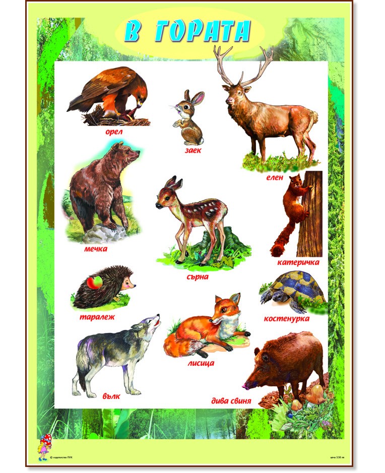 ����� ������ �����: � ������ - 47.5 x 67 cm - �����