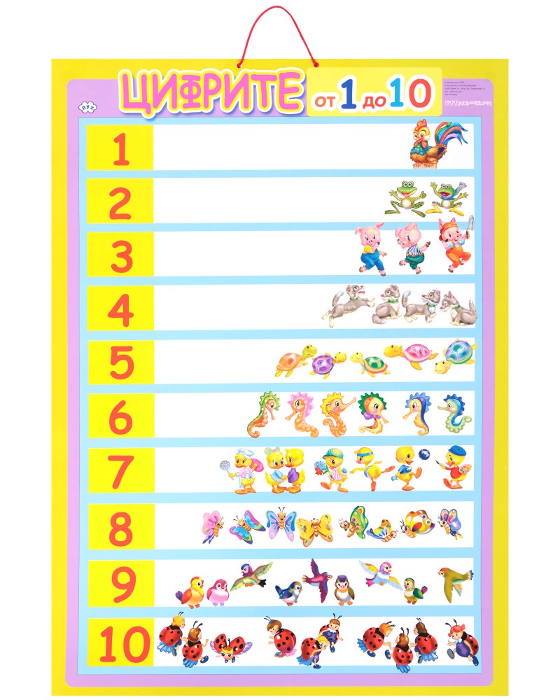   :   1  10 - 37.5 x 67.5 cm - 