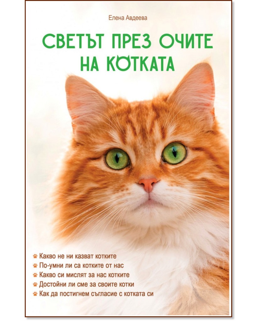 ������ ���� ����� �� ������� - ����� ������� - �����