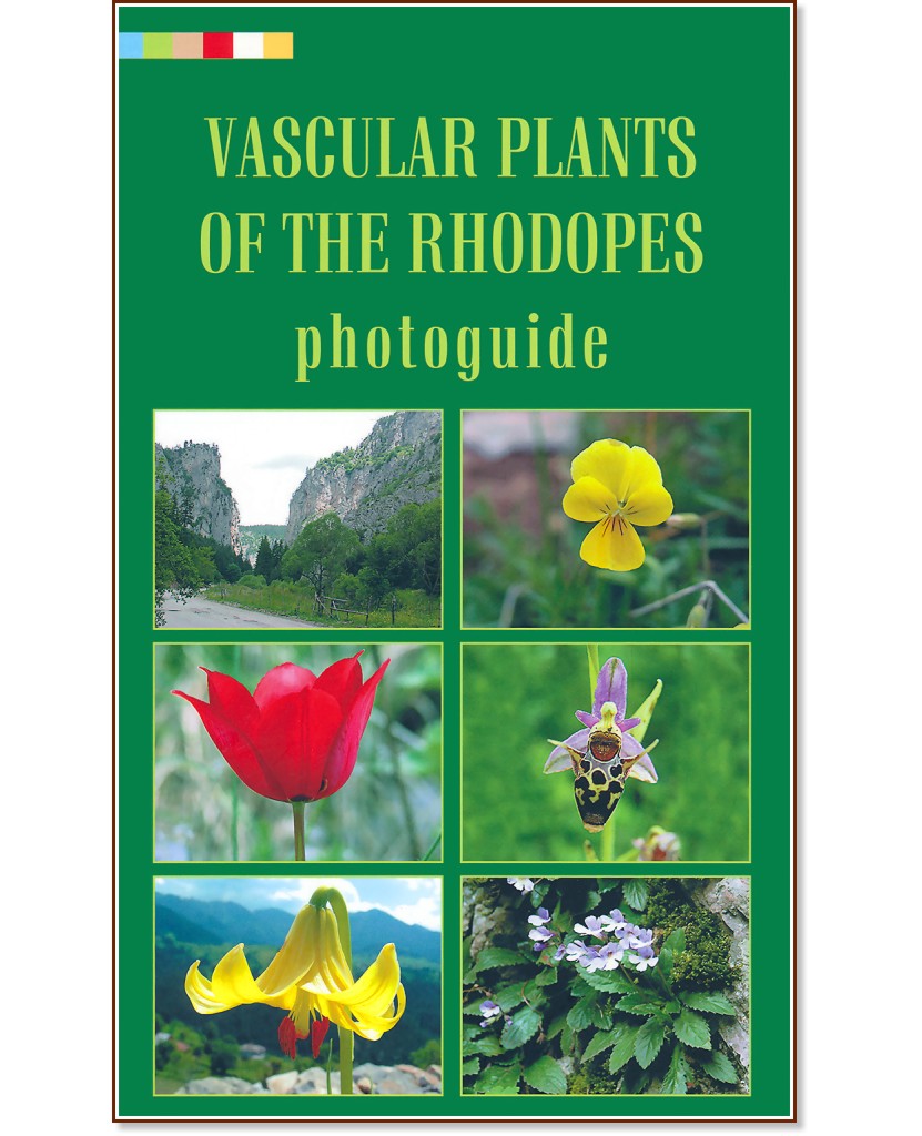 Vascular Plants of the Rhodopes photoguide - Vladimir Vladimirov - 
