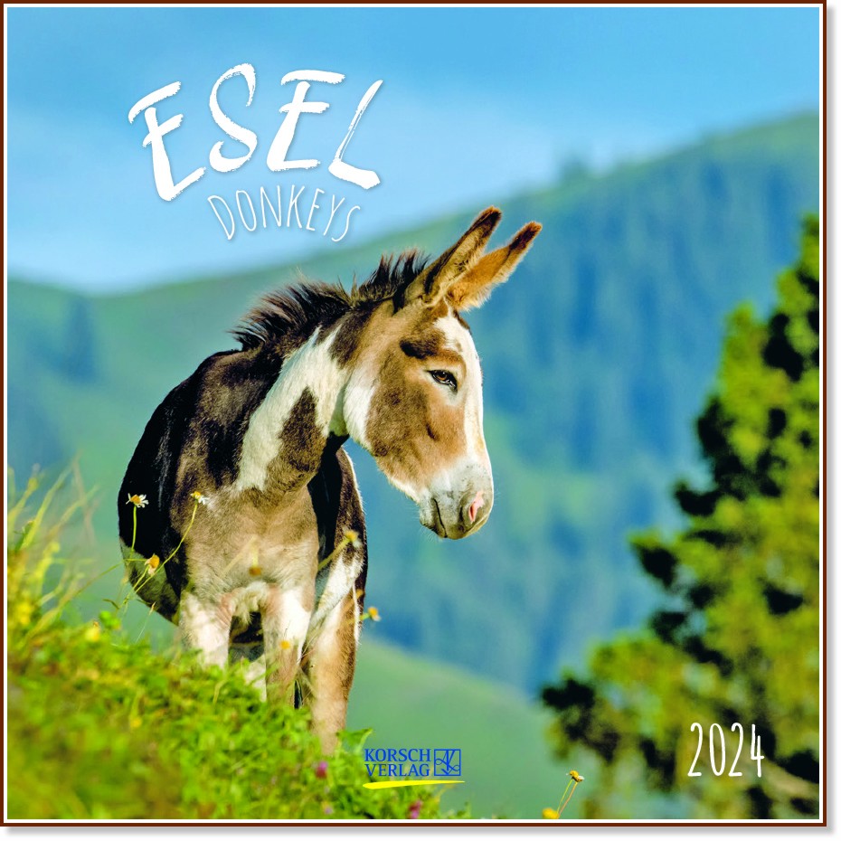 ������ �������� - Esel 2024 - ��������