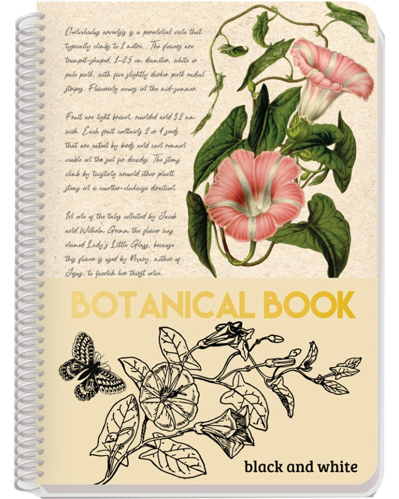 Тетрадка със спирала с широки редове Botanical Тетрадка със спирала с широки редове Botanical - Формат А4 с теми с 80, 105 или 140 листа - тетрадка