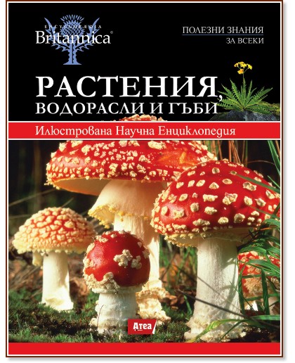 ������������ Britannica - ��� 2: ��������, ��������� � ���� - �����
