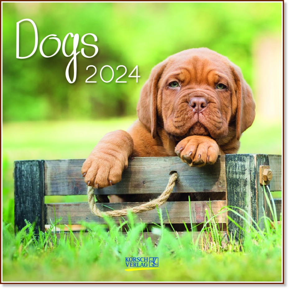   - Dogs 2024 - 