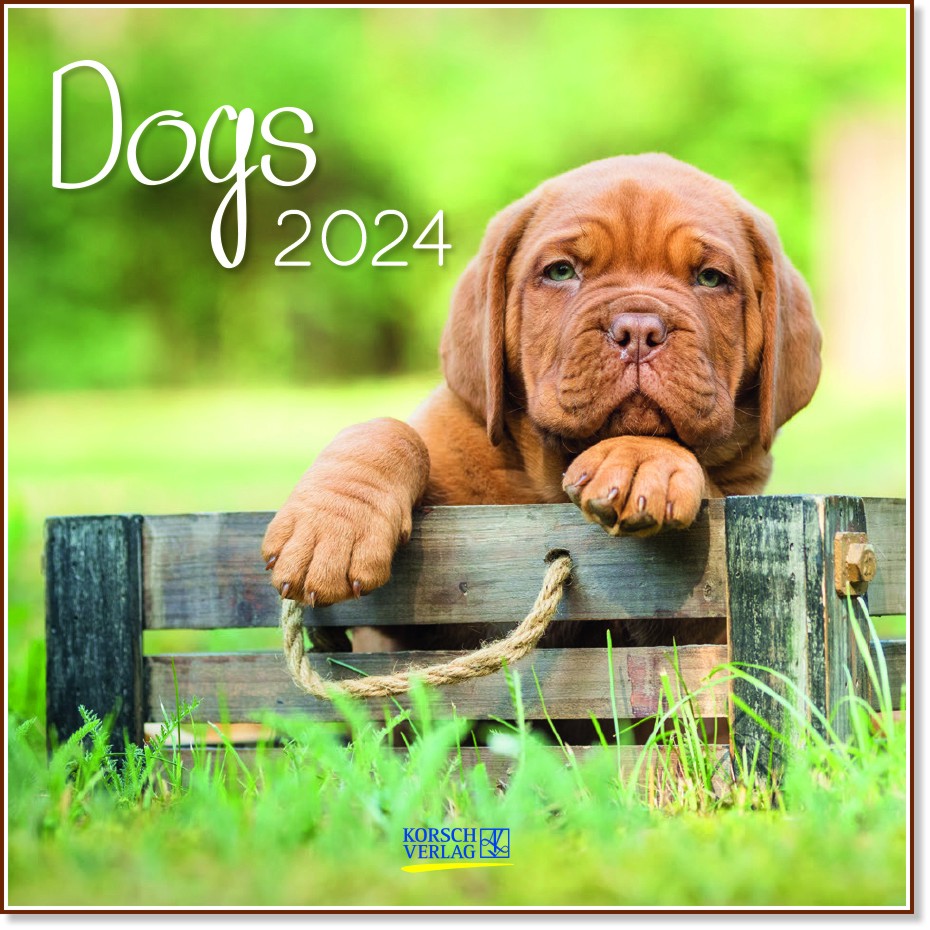 ������ �������� - Dogs 2024 - ��������