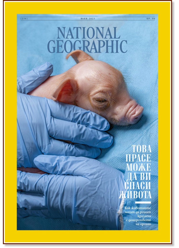 National Geographic  -  6 / 2025 - 