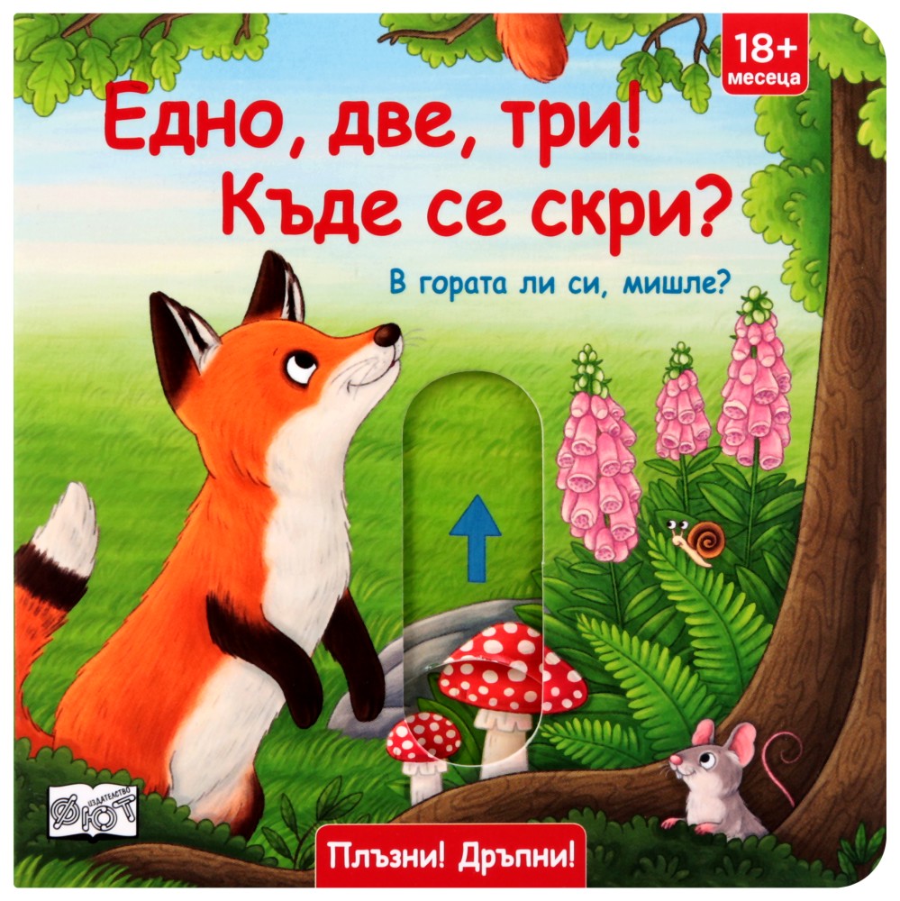  : , , !   ?    , ? -  