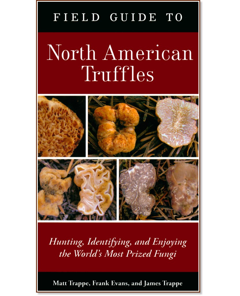 Field Guide to North American Truffles - 