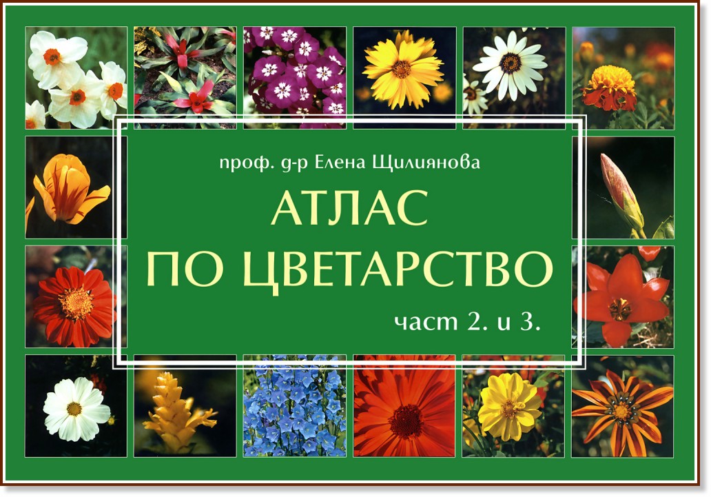 Атлас по цветарство - част 2 и 3 - Елена Щилиянова - книга