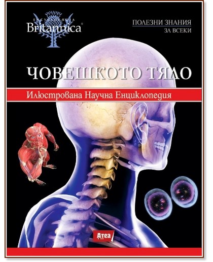 ������������ Britannica - ��� 4: ��������� ���� - �����