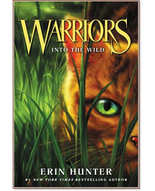 ������ ���� - ���� ������ - ������ �����