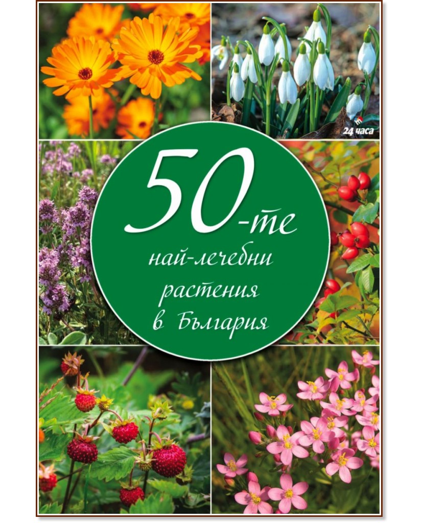 50- -    - 
